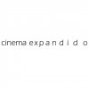 cinema expandido 2013